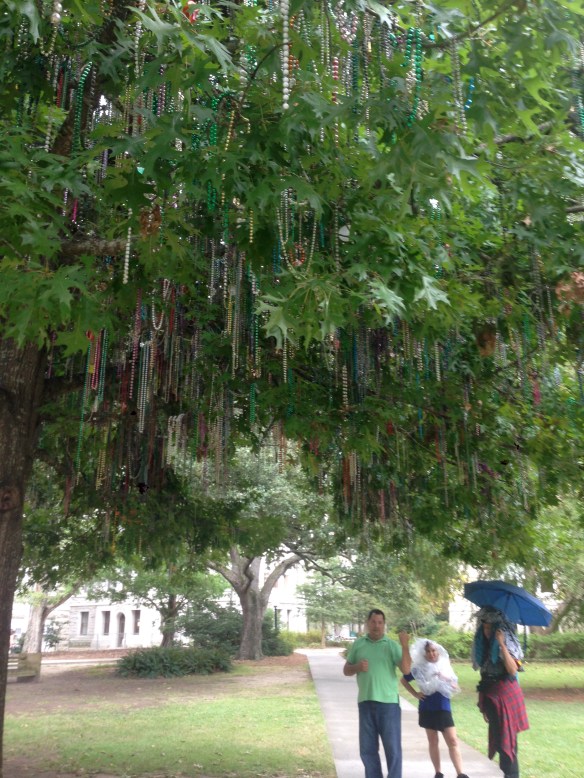 Mardi Gras tree at Tulane